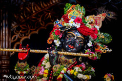 Daily Darshan