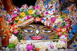 Daily Darshan