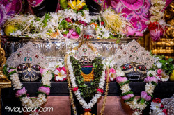 Daily Darshan