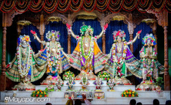 Daily Darshan