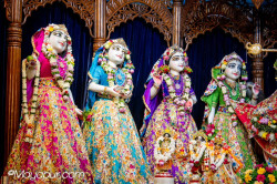 Daily Darshan