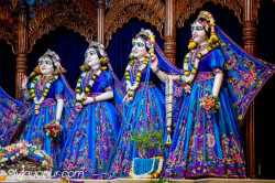 Daily Darshan