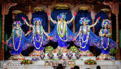 Daily Darshan