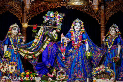 Daily Darshan