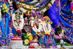 Daily Darshan