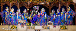 Daily Darshan
