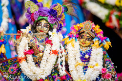 Daily Darshan