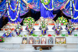 Daily Darshan