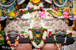 Daily Darshan