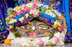 Daily Darshan