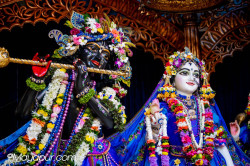Daily Darshan