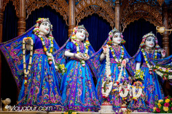 Daily Darshan