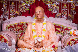 Daily Darshan