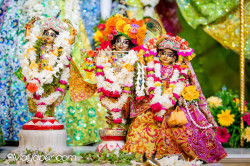 Daily Darshan