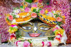 Daily Darshan