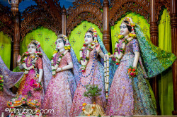 Daily Darshan