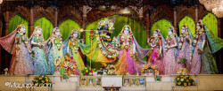 Daily Darshan