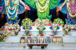 Daily Darshan