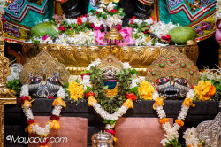 Daily Darshan