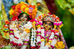 Daily Darshan