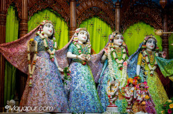 Daily Darshan