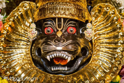 Daily Darshan