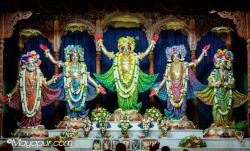 Daily Darshan