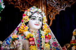 Daily Darshan