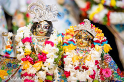 Daily Darshan