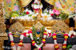 Daily Darshan