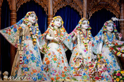 Daily Darshan