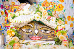 Daily Darshan