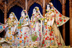 Daily Darshan