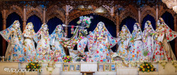 Daily Darshan