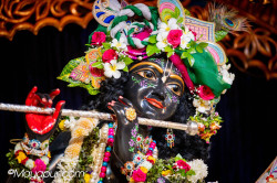 Daily Darshan
