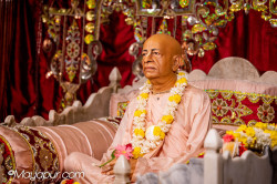 Daily Darshan