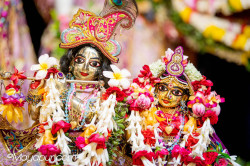 Daily Darshan