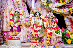 Daily Darshan