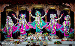 Daily Darshan