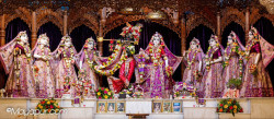 Daily Darshan