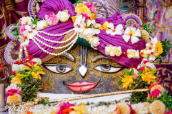 Daily Darshan