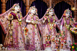 Daily Darshan