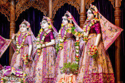 Daily Darshan