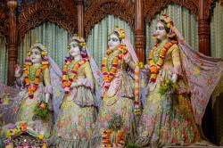 Daily Darshan
