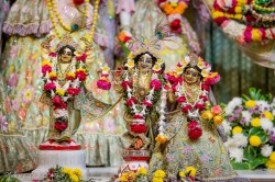 Daily Darshan
