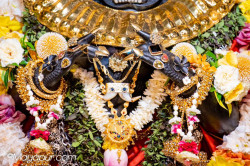 Daily Darshan