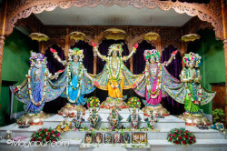 Daily Darshan