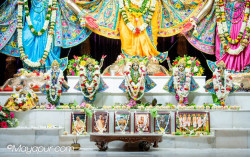 Daily Darshan
