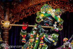 Daily Darshan
