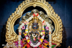 Daily Darshan